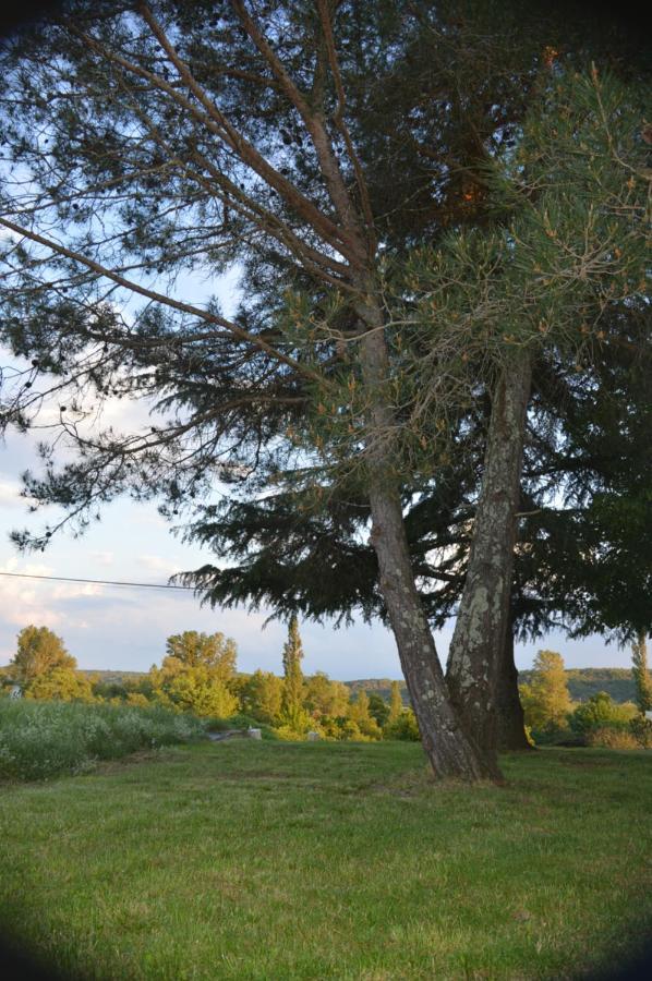 Les Loups Dans La Bergerie Banne Exterior foto